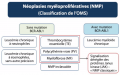 Néoplasies myéloprolifératives OMS.png