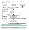 Décompensation acidocétosique et hyperosmolaire.png