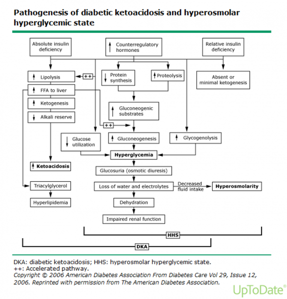 Fichier:Décompensation acidocétosique et hyperosmolaire.png