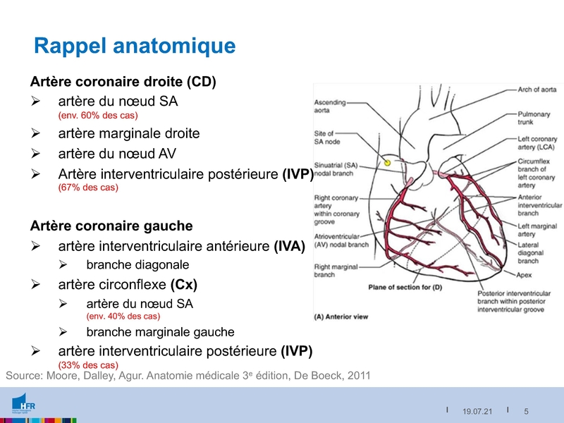Fichier:2021-05-05 Equivalents STEMI.pdf