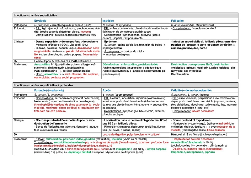 Fichier:Infections cutanées.pdf