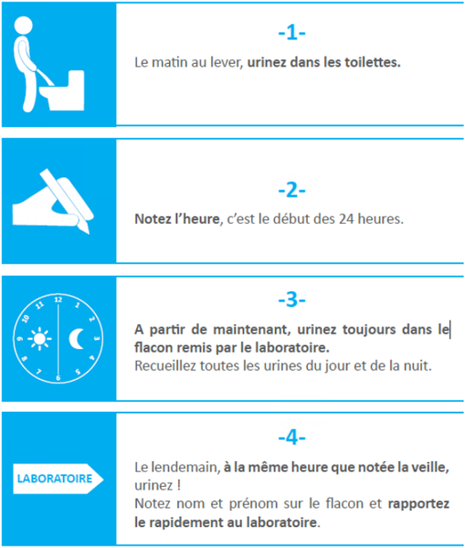 Fichier:Récolte d'urines 24h.png