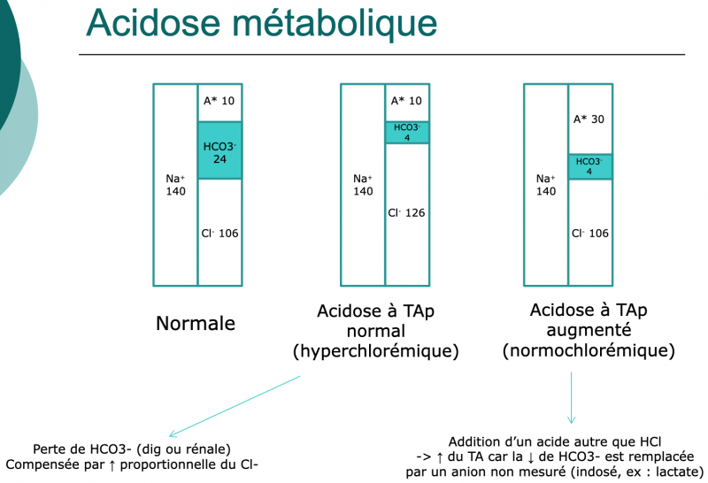 Fichier:Acidose métabolique et trou anionique.png
