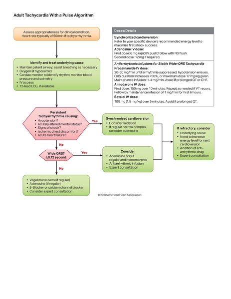 Fichier:2020 acls tachycardie.pdf
