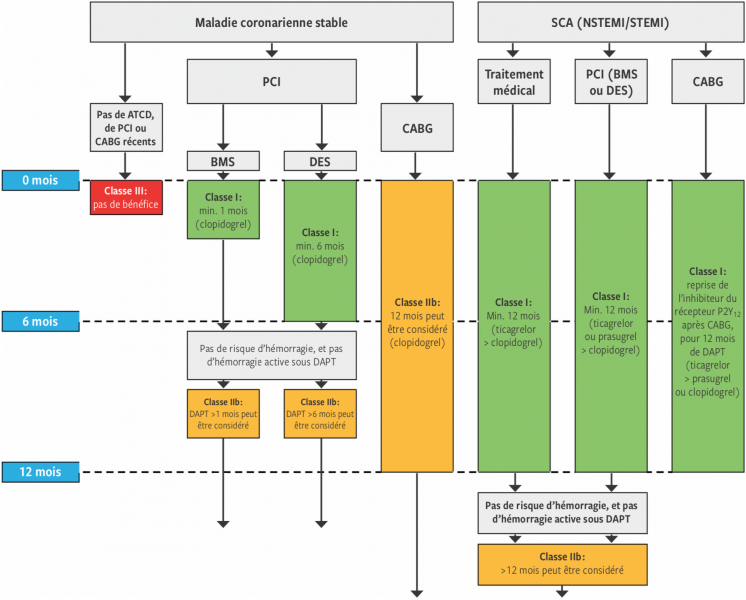 Fichier:Double anti-aggrégation plaquettaire après revascularisation.png