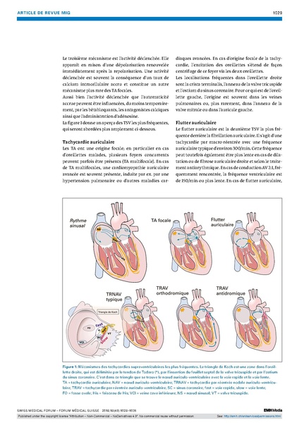 Fichier:Fms 2018 03438.pdf
