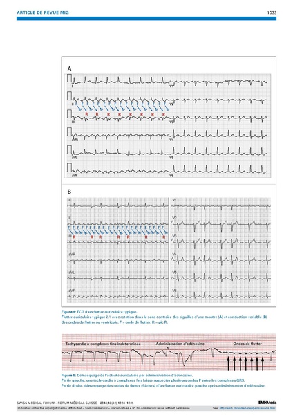 Fichier:Fms 2018 03438.pdf