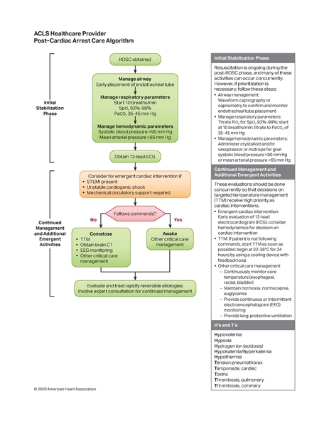 Fichier:2020 acls rosc.pdf
