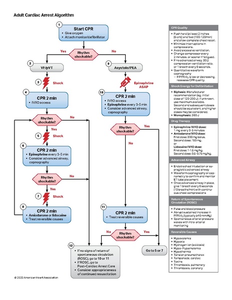 Fichier:2020 acls acr.pdf