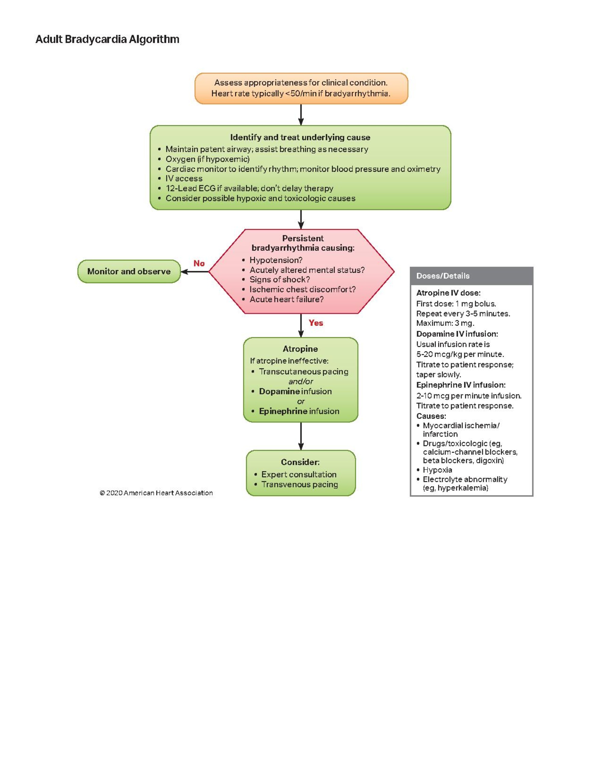 2020 acls bradycardie.pdf