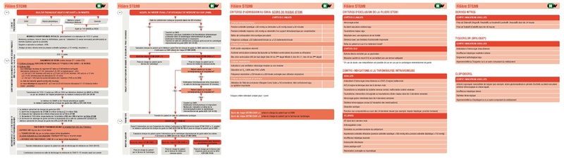 Fichier:INTER SOIN STEMI MEMENTO SSP.pdf