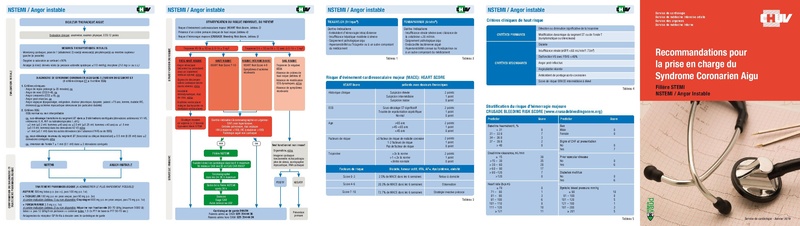 Fichier:INTER SOIN STEMI MEMENTO SSP.pdf