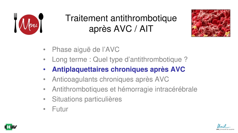 Fichier:Antithrombotiques DNC Neurosciences Michel 2019 h.pdf