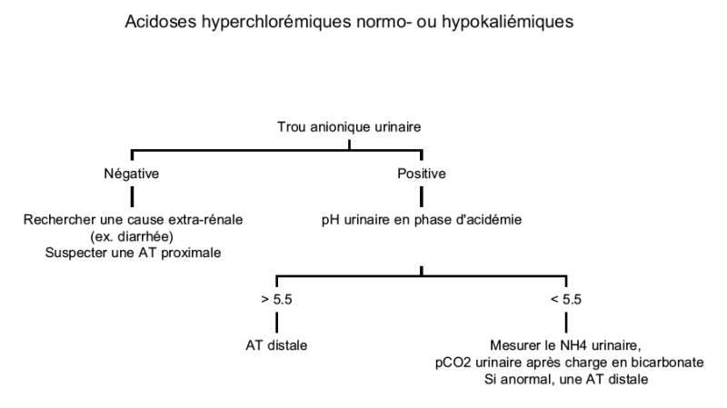 Fichier:Arbre Amet hypoK-2.png.png